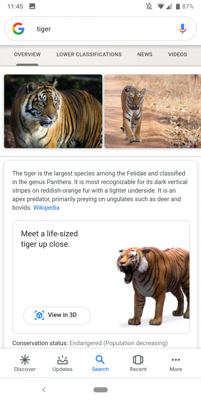 Animais 3D do Google agora incluem mais 5 espécies ameaçadas; saiba como  ver - Canaltech