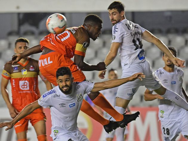 FBL-LIBERTADORES-SANTOS-DELFIN