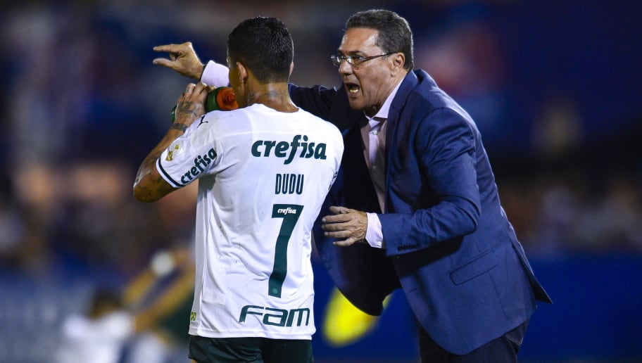 Luxemburgo estuda adotar rodízio no Palmeiras, mas faz 'ressalva' sobre cinco substituições - 1