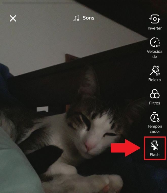 Como usar o Flash do seu celular em publicações do TikTok - 3