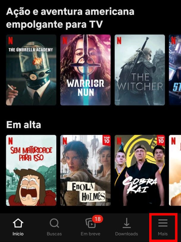 Como cancelar a conta na Netflix - 2