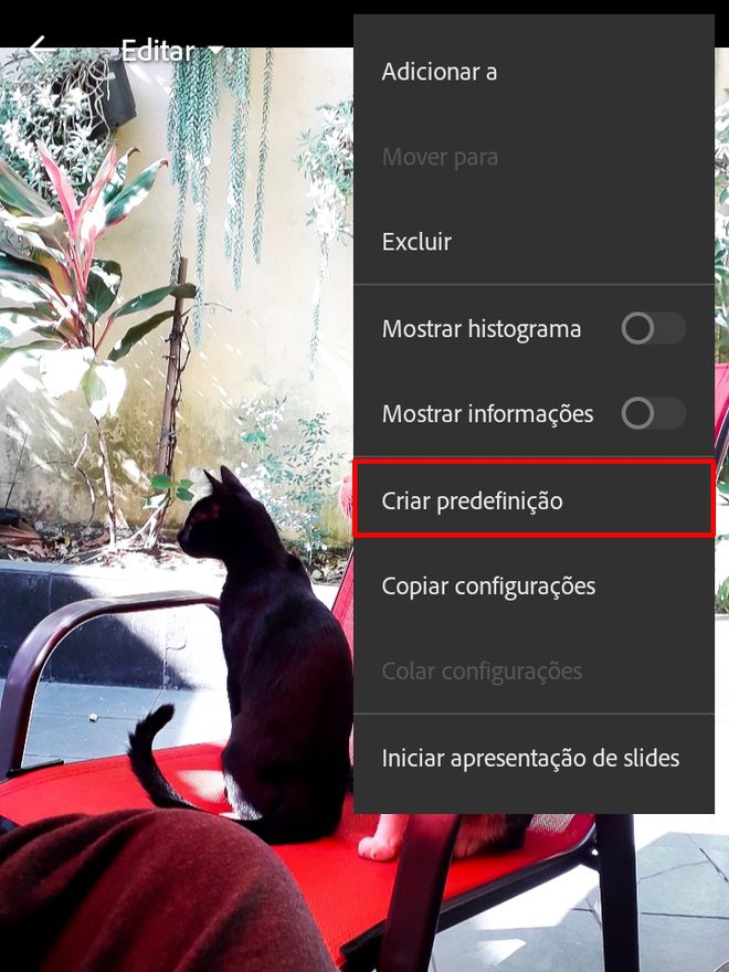 Como fazer presets no Lightroom pelo celular e computador - 3