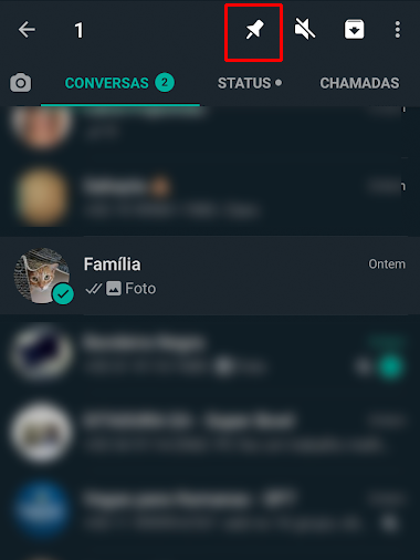 Saiba como fixar uma conversa no WhatsApp - 3