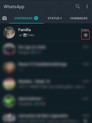 Saiba como fixar uma conversa no WhatsApp - 4