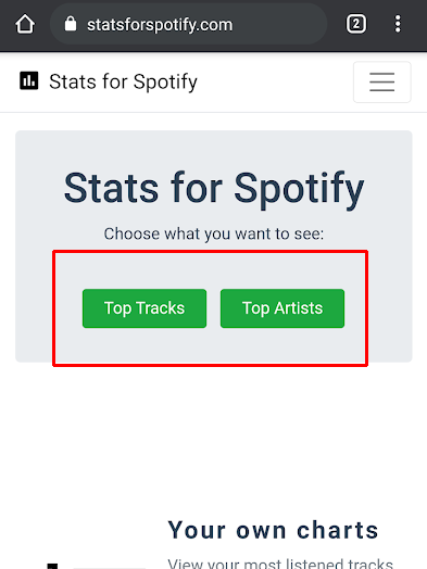 Como usar o Stats for Spotify - 5