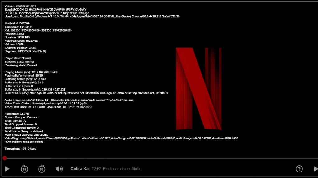 Como usar atalhos para controlar a Netflix no navegador - 2