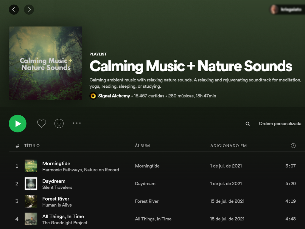 5 Playlists no Spotify com sons da natureza para acalmar e dormir - 3