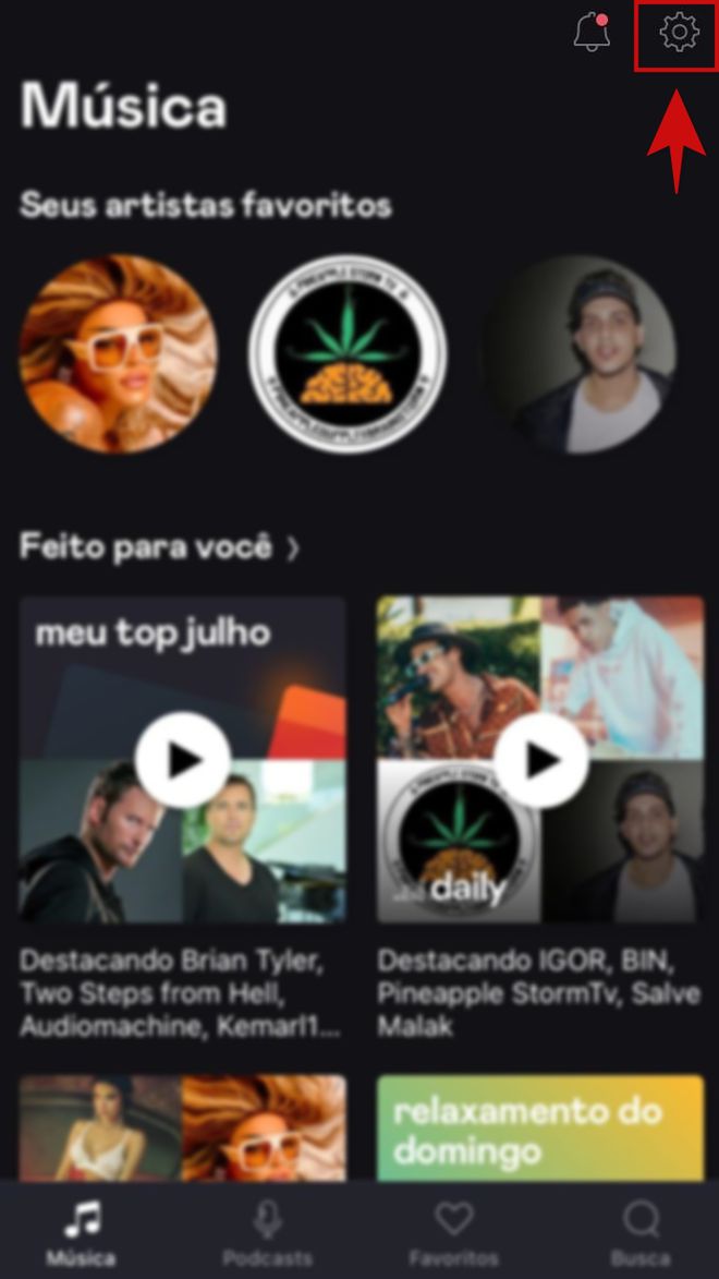 Como mudar o e-mail cadastrado na Deezer - 2