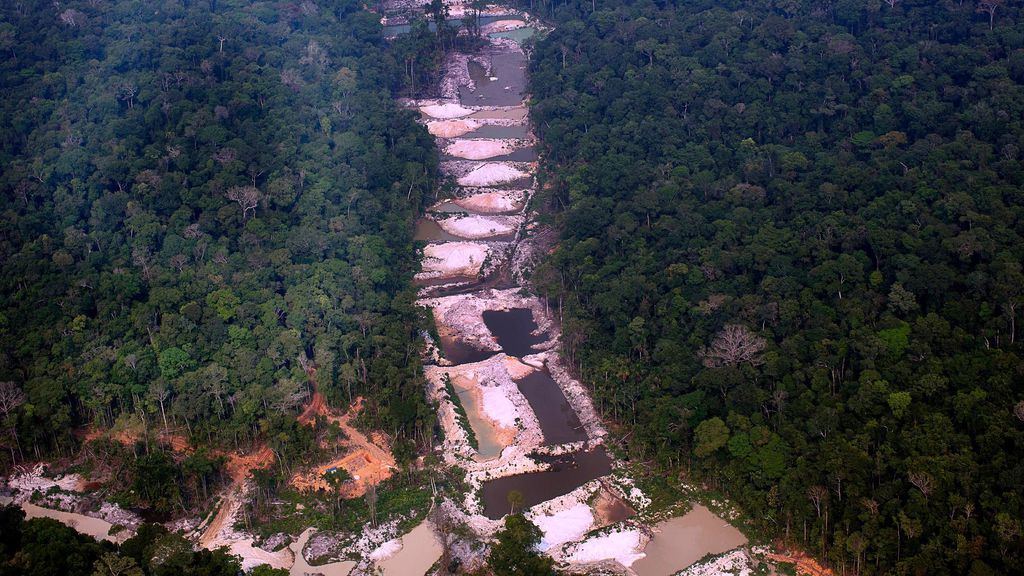 Indígenas usam sistema de alerta precoce para combater desmatamento na Amazônia - 3