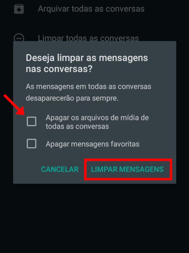 Como limpar as conversas do WhatsApp - 13