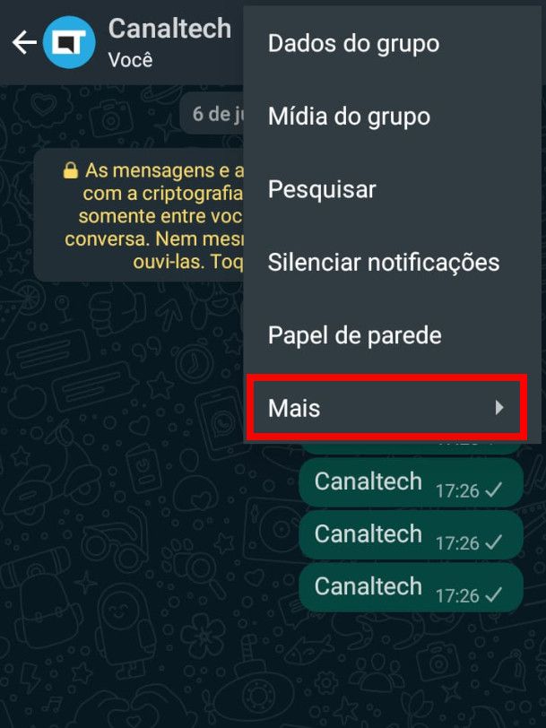 Como limpar as conversas do WhatsApp - 3