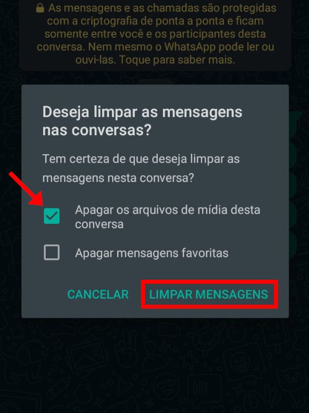 Como limpar as conversas do WhatsApp - 5