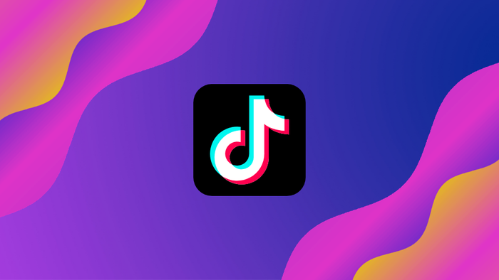 Como ganhar dinheiro com o TikTok? - 1