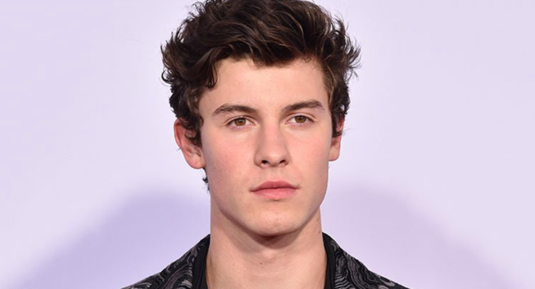 Shawn Mendes fala verdadeiro motivo que o levou a apagar o TikTok - 1