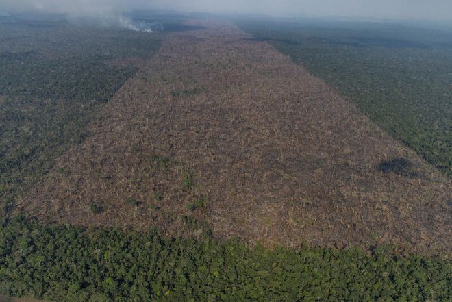 Desmatamento registrado na Amazônia em 2021 é o maior da última década - 2