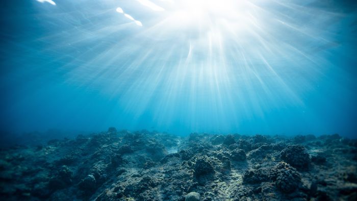 Calor extremo nos oceanos é o 