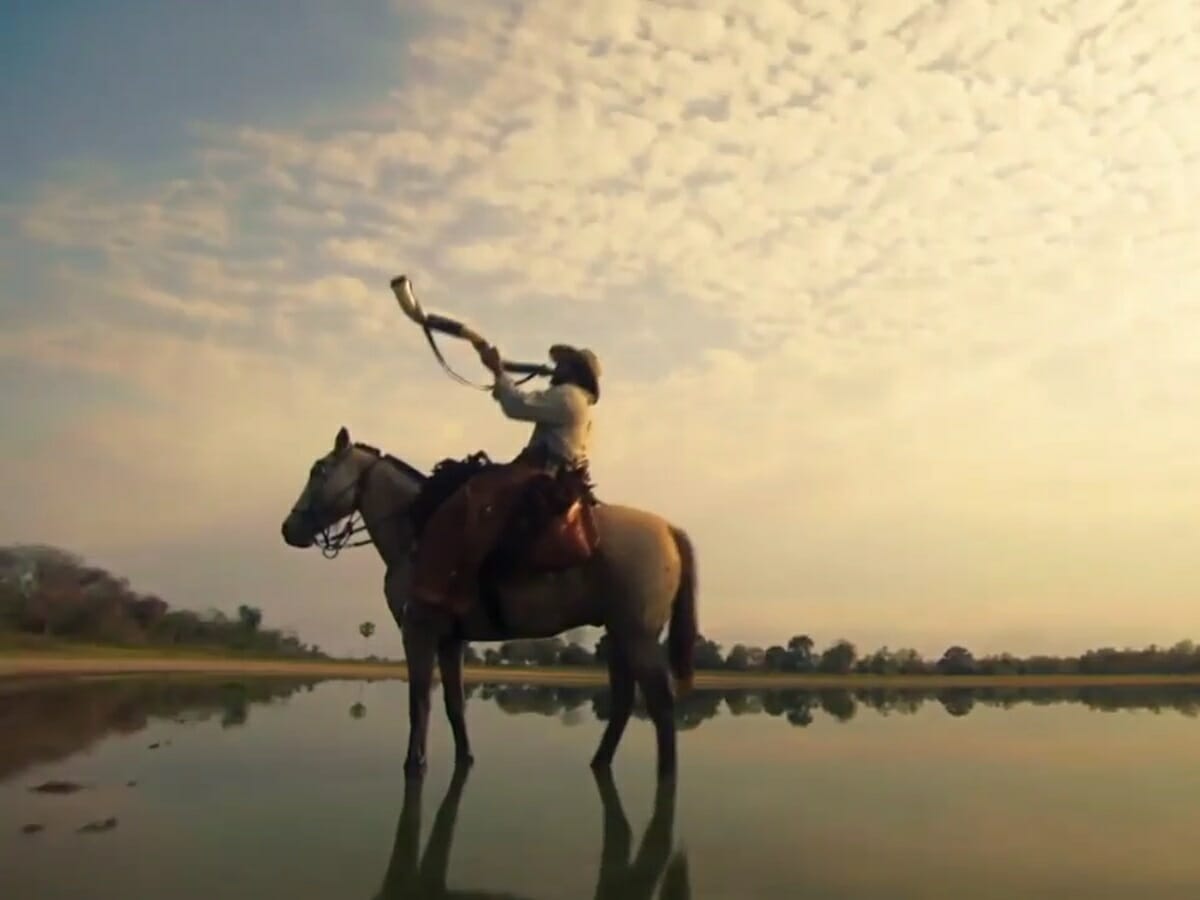 Maior orçamento dos últimos anos, Pantanal em números é para impressionar qualquer produção internacional - 1