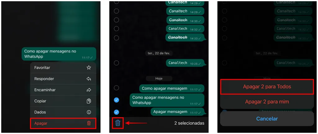 Como apagar mensagem no WhatsApp para todos - 3