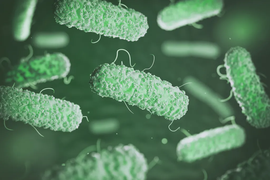 As bactérias do intestino nos ajudam a ter uma vida saudável, mas podem evoluir e se tornar prejudiciais à nossa saúde (Imagem: maxxyustas/envato)