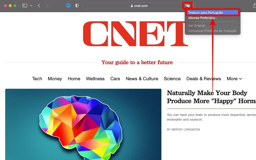 Como traduzir uma página na internet em qualquer navegador - 6
