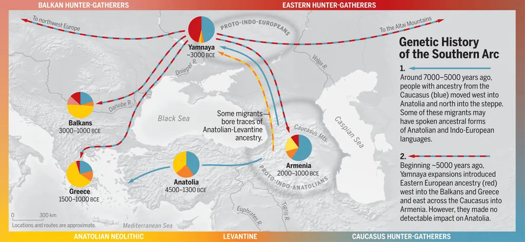 Representação do ciclo de migrações descoberto pela pesquisa, onde populações se moveram do oeste asiático à Anatólia e leste europeu (Imagem: Lazaridis et al./Science)