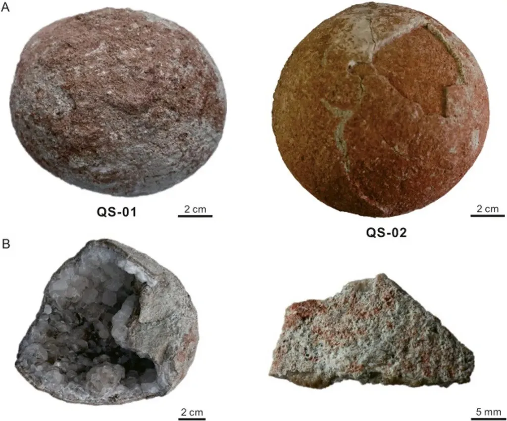 Um dos ovos não está completo, mas apresenta uma bela cristalização interna (Imagem: He et al./Journal of Paleogeography)