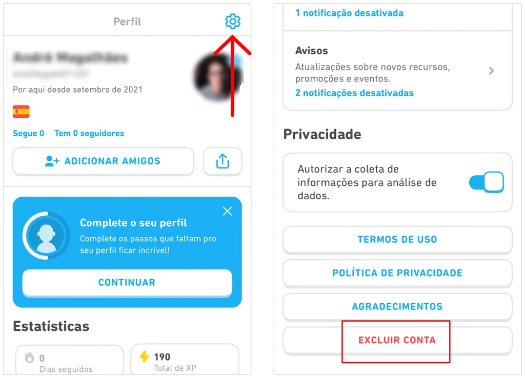 Como excluir a conta do Duolingo - 2