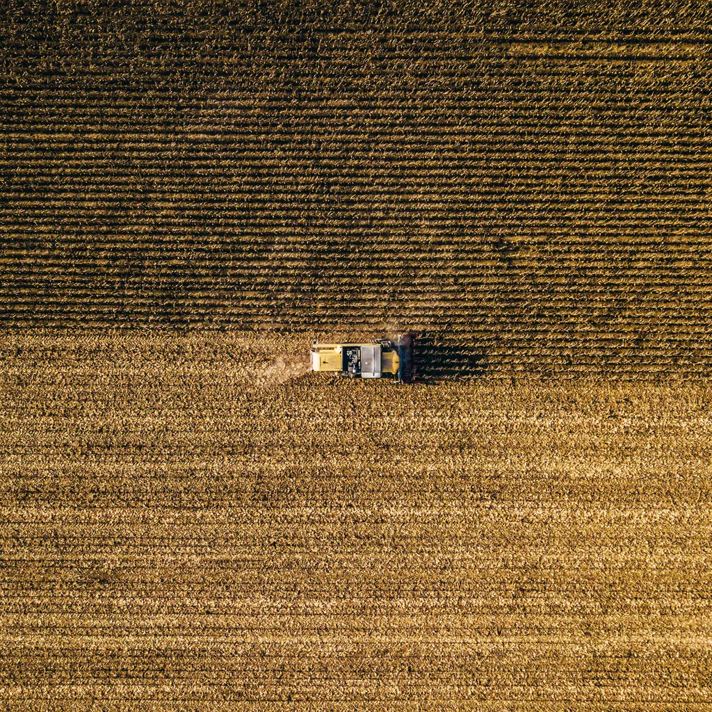 A agricultura intensiva pode agravar a erosão (Imagem: Bence Balla-Schottner/Unsplash)