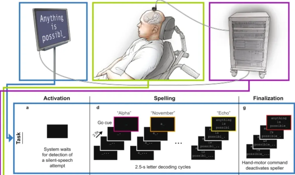 Esquema demonstrando o funcionamento do aparelho que permite um paciente com anartria soletrar palavras (Imagem: Metzger et al./Nature Communications)