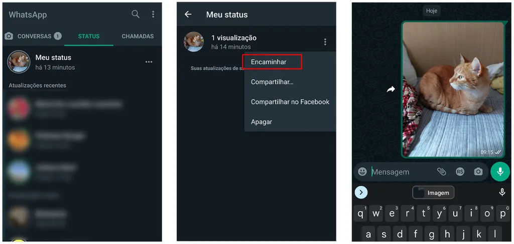 Posso compartilhar o Status do WhatsApp de outra pessoa? - 2