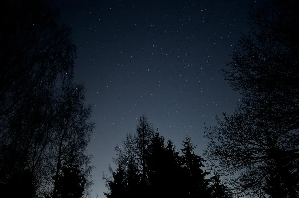 Céu de dezembro | Eventos astronômicos têm chuva de meteoros para encerrar 2022 - 3