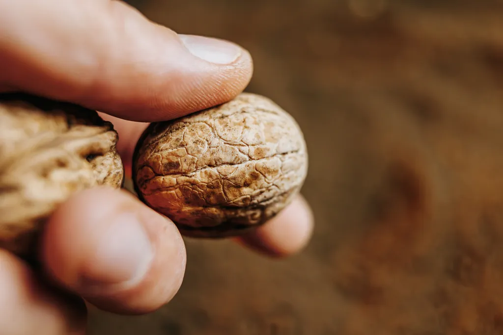 O que é próstata aumentada e quando a cirurgia é necessária - 3