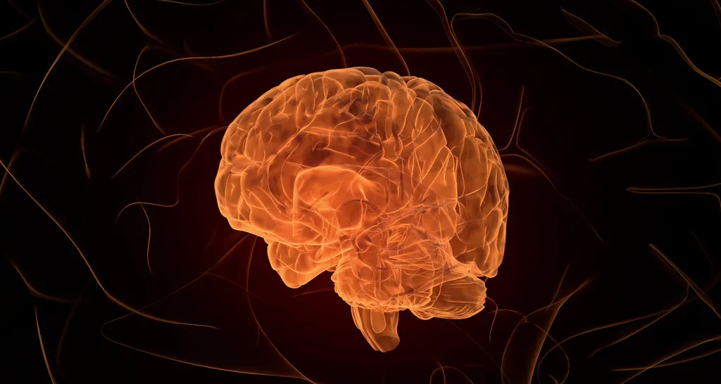 Cientistas identificam nova forma de comunicação no cérebro - 2