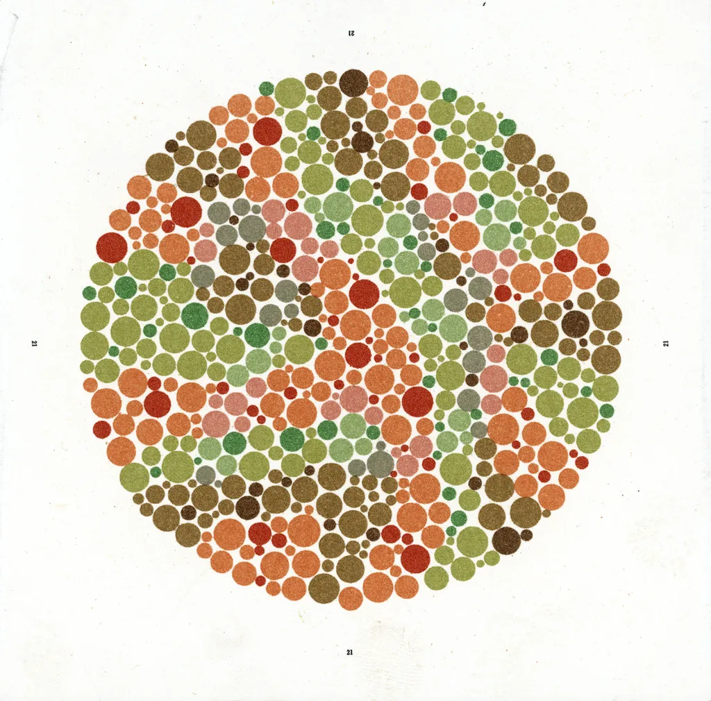 Uma das imagens do teste de Ishihara, que avalia a capacidade de enxergar cores através de padrões desenhados com elas (Imagem: Medical Photographic Library/CC-BY-4.0)