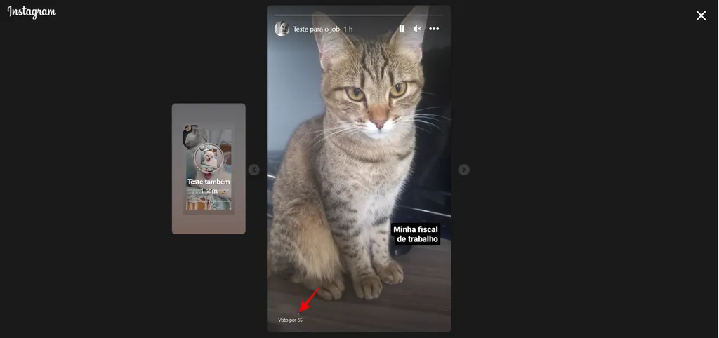 Posso saber quem viu os destaques do Instagram? - 3