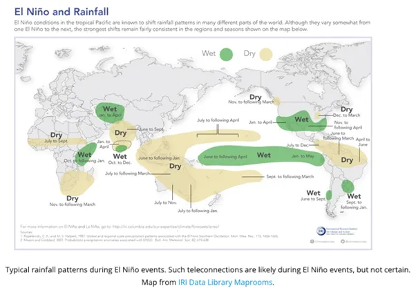 O fenômeno El Niño tem implicações no clima de todo planeta. Além de aumentar a temperatura média global, certas regiões do globo ficam mais úmidas (em verde) enquanto outras passam por secas severas (em amarelo) (Imagem Reprodução/Columbia University via WMO)