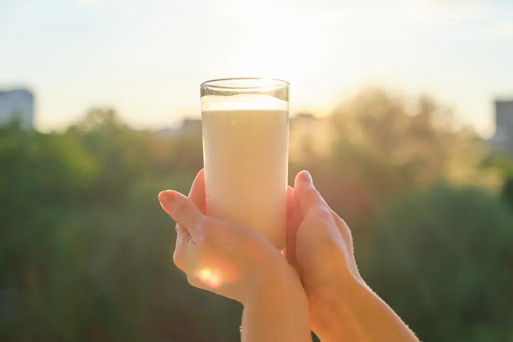 Beber leite de vaca natural e não processado faz mal para a saúde? - 4