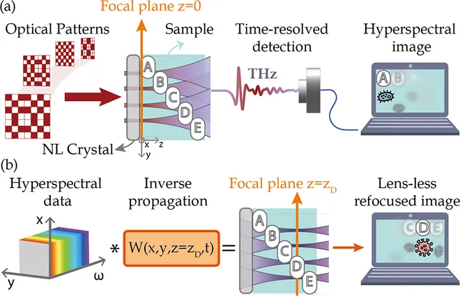 Esquema mostrando como o novo microscópio de ondas terahertz funciona, captando dados óticos e os utilizando para reconstruir esquemas da interação da luz com o objeto estudado em diferentes tempos, revelando camadas invisíveis ao olho nu (Imagem: Olivieri et al./ACS Photonics)