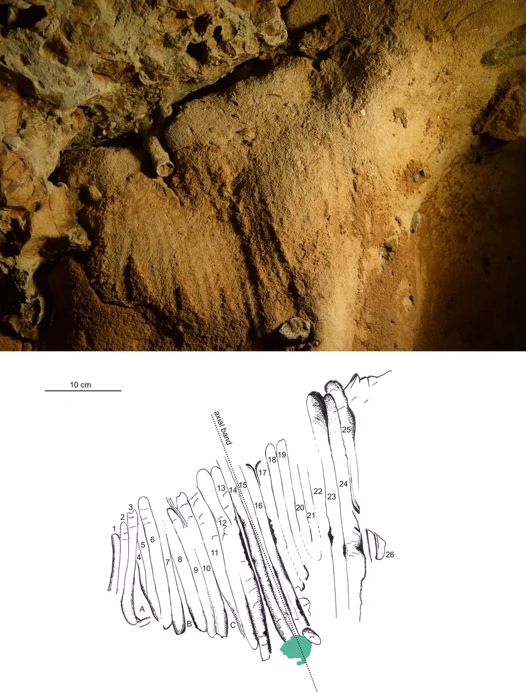 Exemplo das marcações feitas com os dedos pelos neandertais, sendo a arte humana mais antiga do mundo (Imagem: Marquet et al/PLOS One)