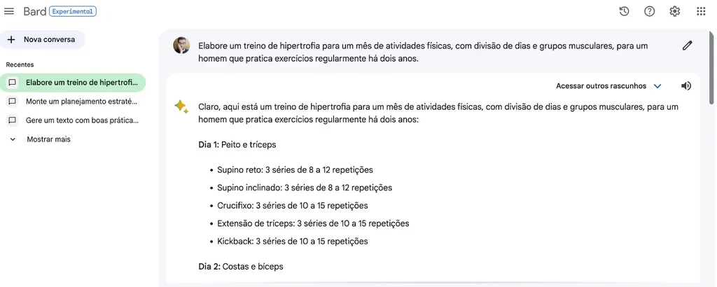 Bard monta um treino de musculação de acordo com os parâmetros informados (Imagem: Captura de tela/Guilherme Haas/Canaltech)