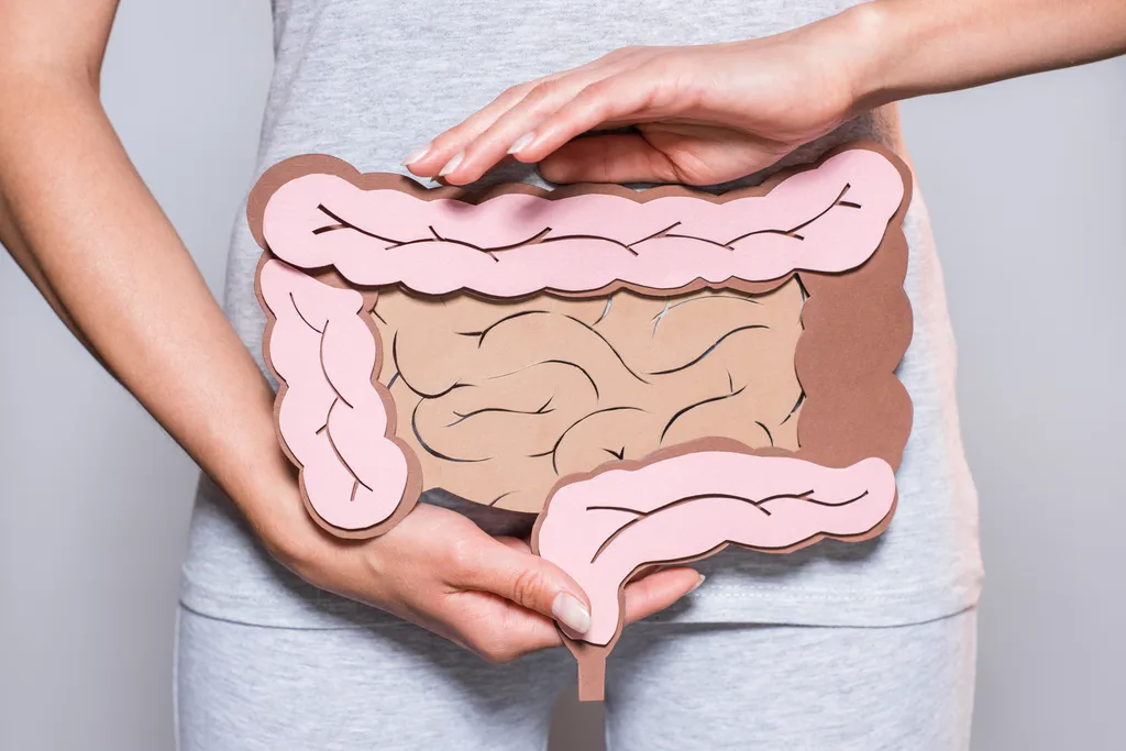 Como uma dieta rica em fibra solúvel melhora a saúde do intestino? - 3