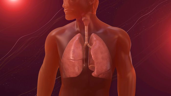 O que é embolia pulmonar? - 1