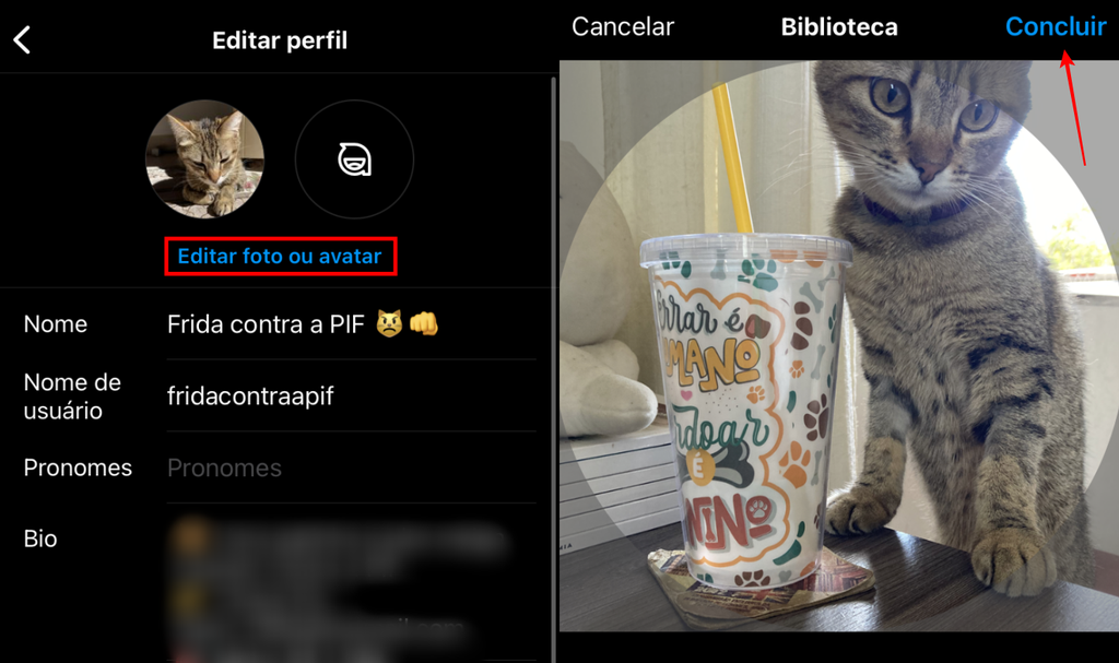 13 edições que você pode fazer na nova bio do Instagram - 2