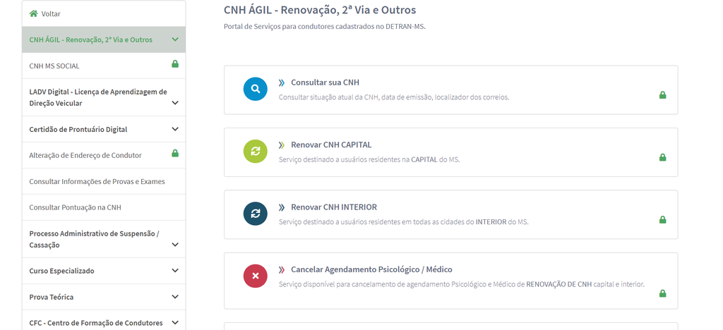 Como renovar a CNH online em 26 estados e no DF | Guia Prático - 12