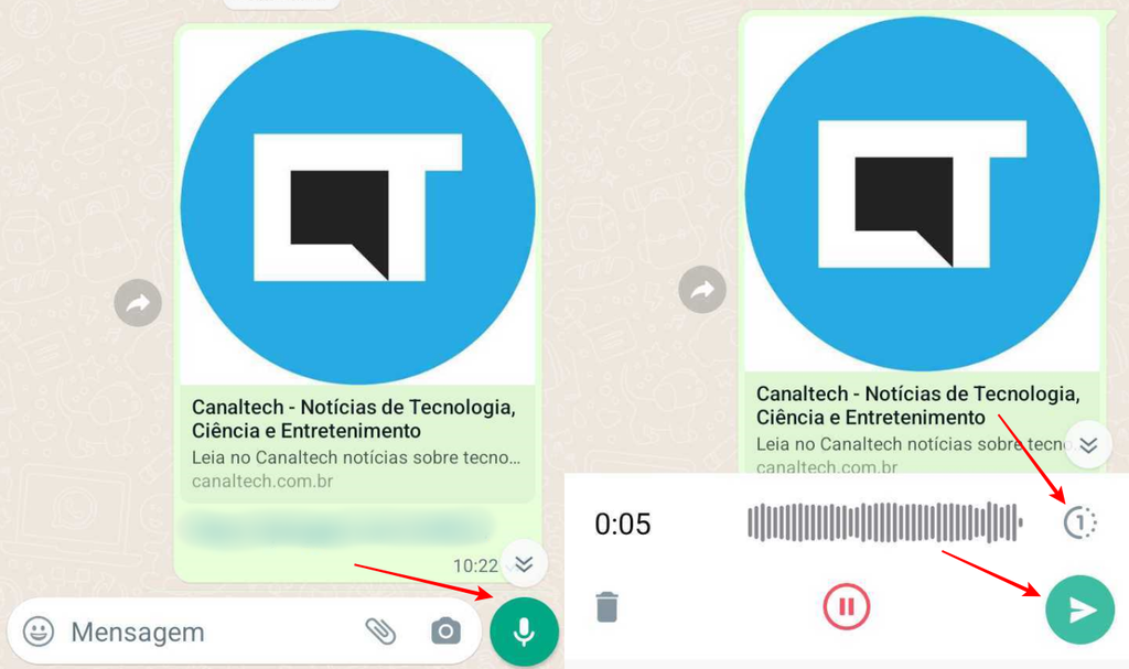 Como enviar mensagem de voz com reprodução única no WhatsApp (Imagem: Reprodução/Fabrício Calixto)