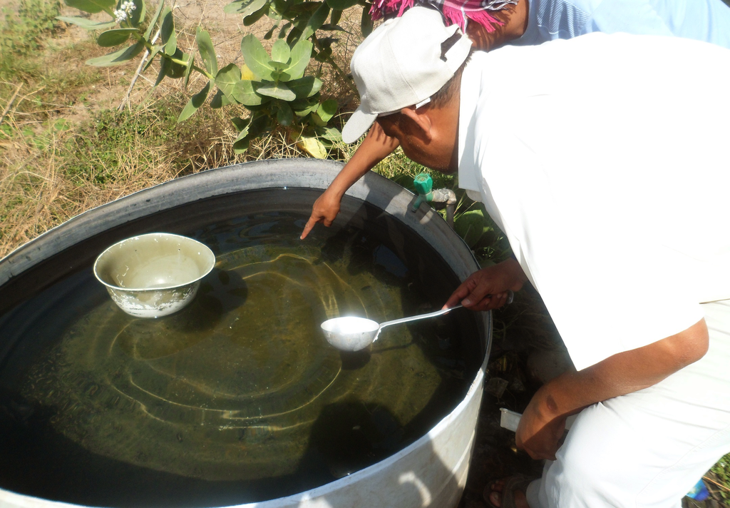 Como se proteger da dengue enquanto a vacina não chega? - 2