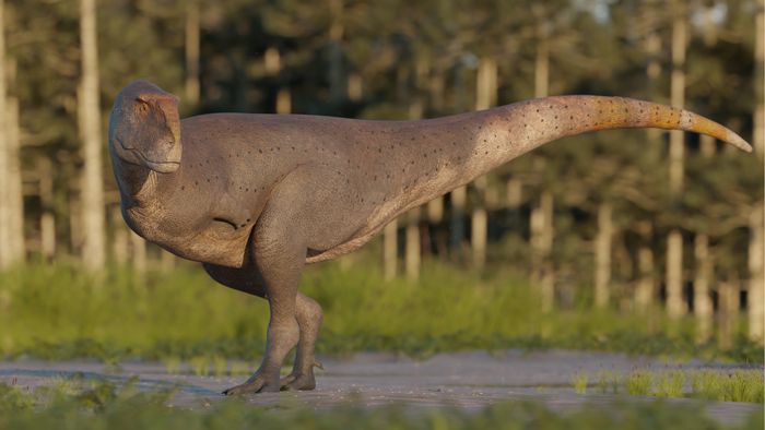 Dinossauro da Argentina tinha braços menores que os do T. rex - 1