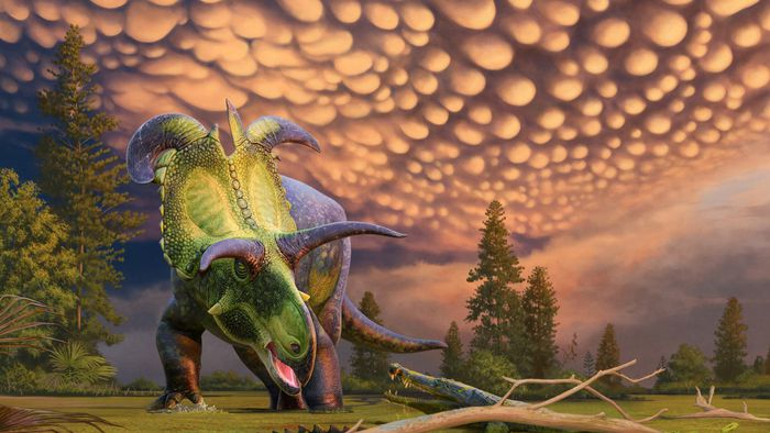 Nova espécie de dinossauro com chifres gigantes recebe nome de Loki - 1