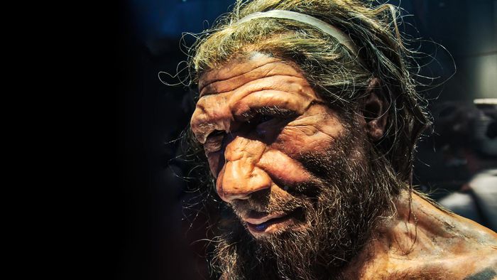 Por que o cromossomo Y dos neandertais não está no nosso DNA? - 1