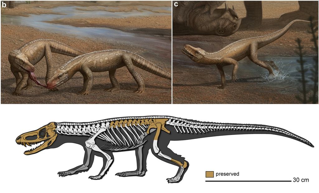 Réptil que viveu antes dos dinossauros é descoberto no Brasil - 2